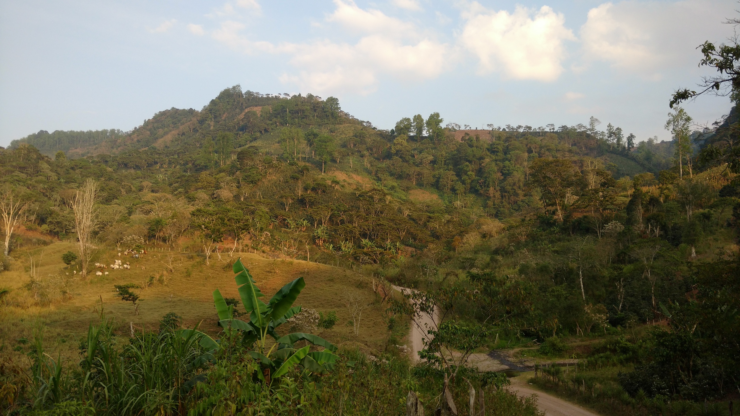 A beautiful view on the way home from clinic in Las Peñas.