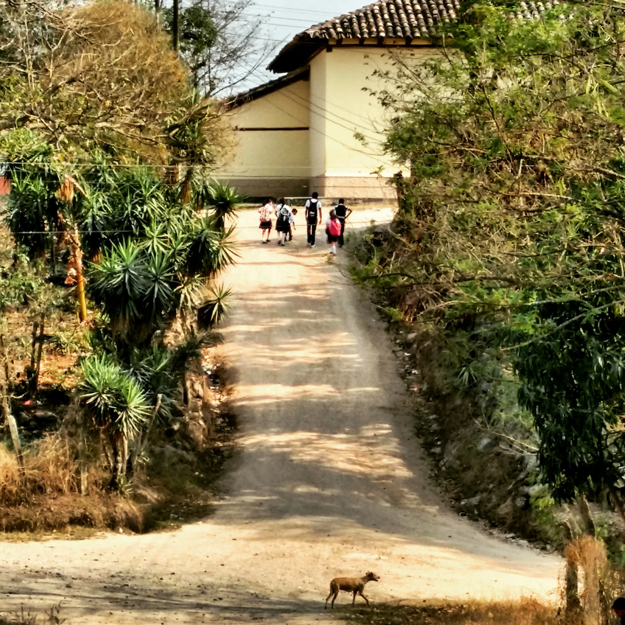 Pediatric patients walk home from clinic in Belen, Honduras.