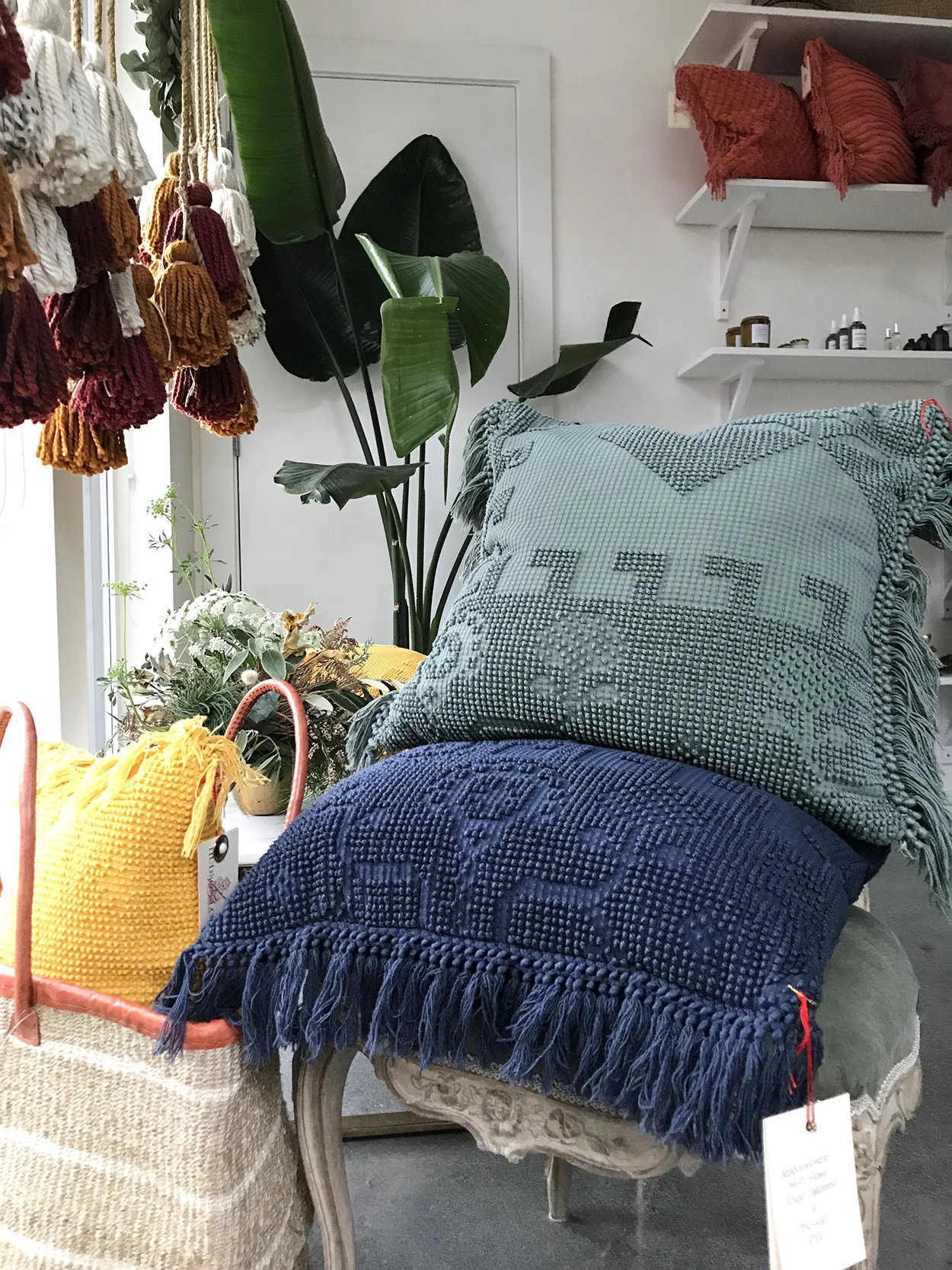 Bondi Beach Collection