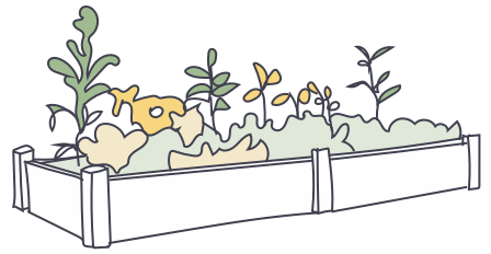 Seedspace - Research Illustrations.png