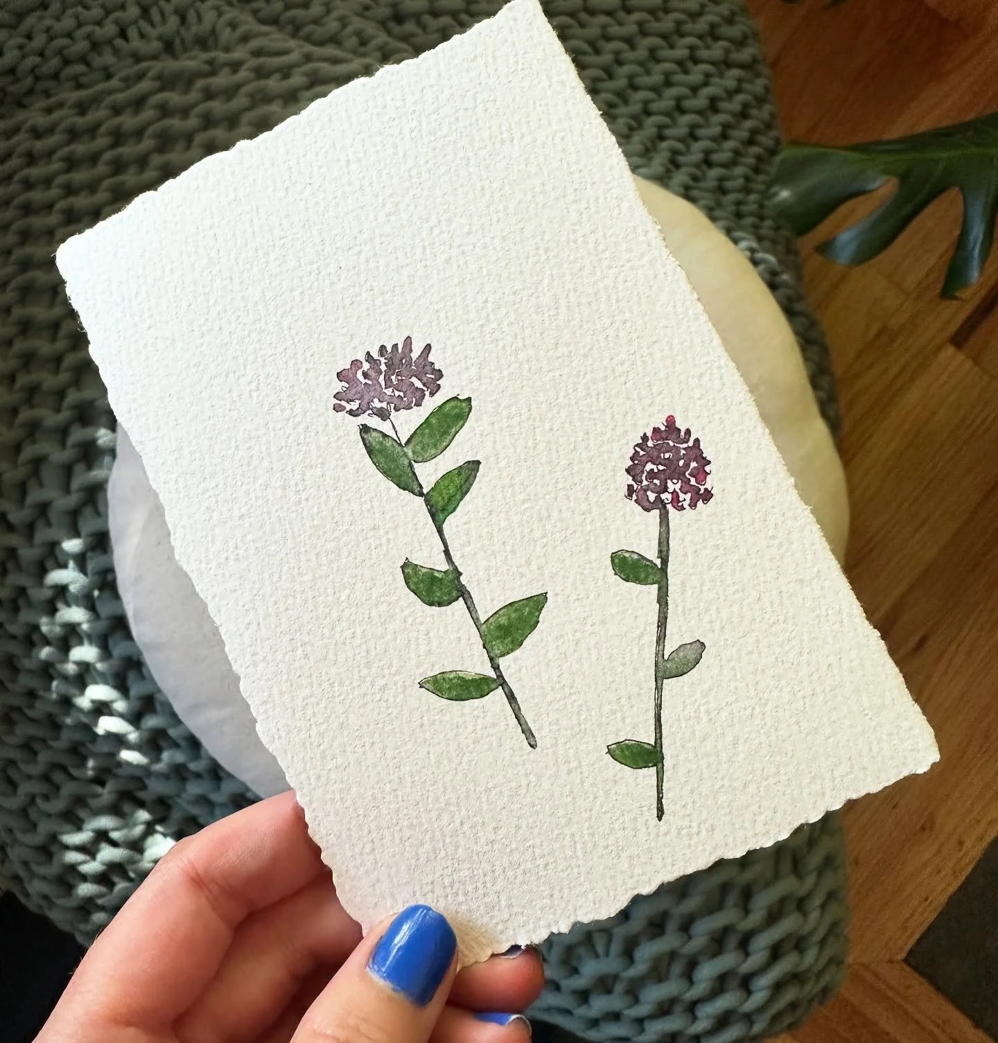 Fuzzies 

#watercolours #pnwhiking