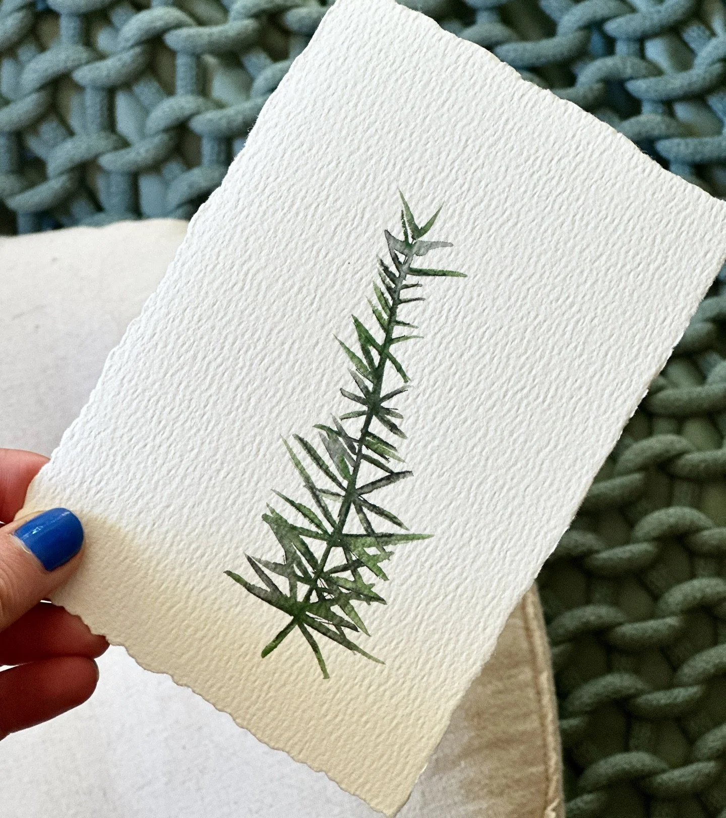 Atlas Cedar 

#watercolours #pnw #pnwhiking #pnwplants