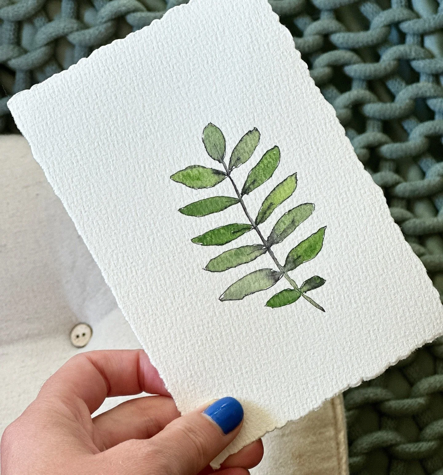 European Mountain-ash 

#watercolours #pnw #pnwhiking #pnwplants