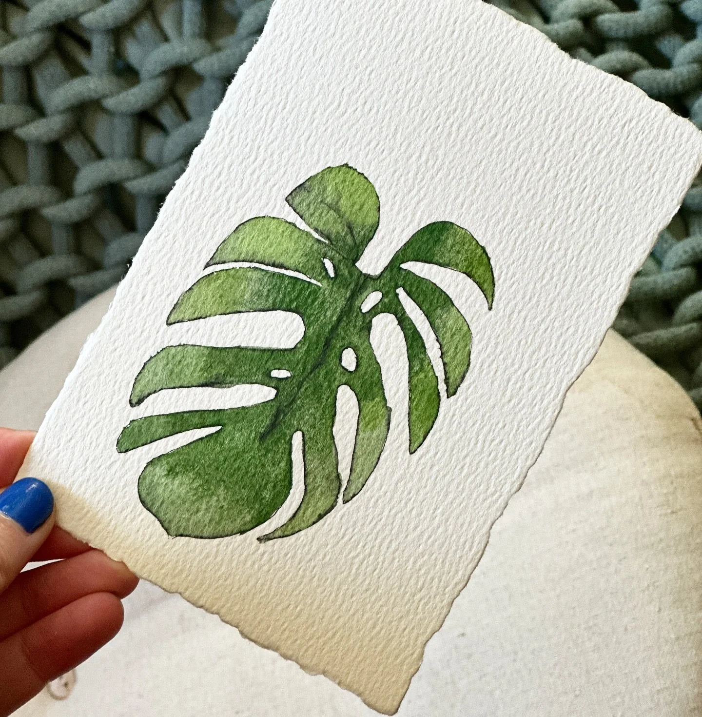 Monstera