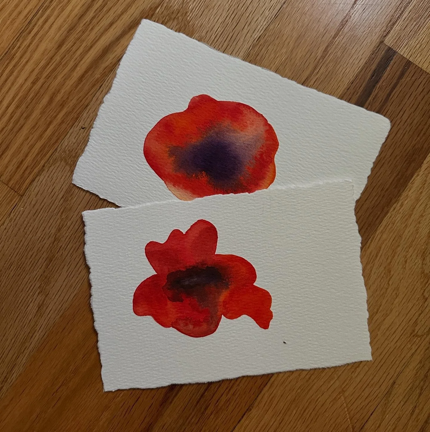WIP poppies