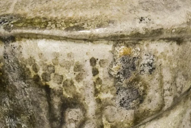 scroll closer close up .jpg