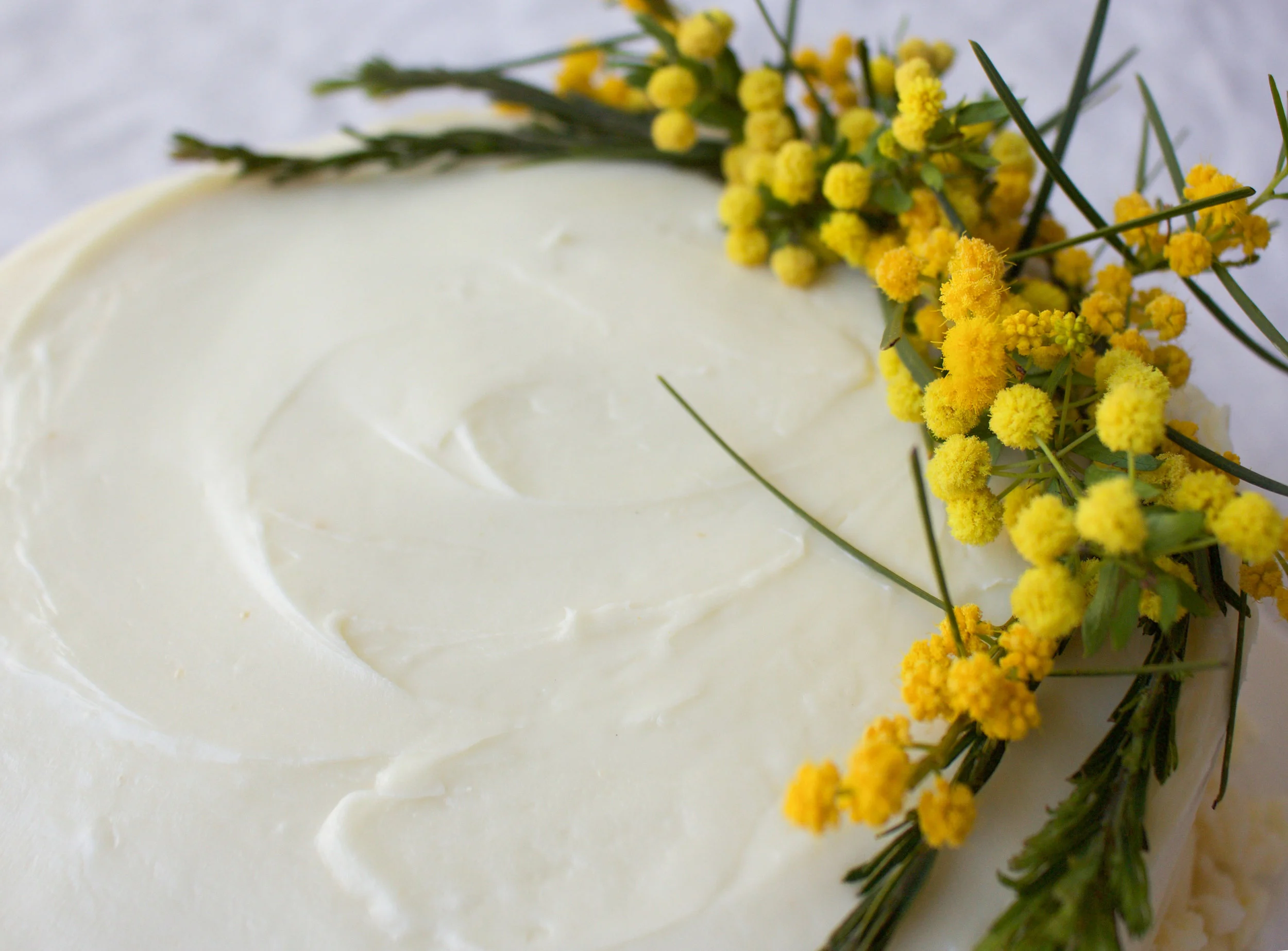 malted wattle seed cake detail 2.jpg