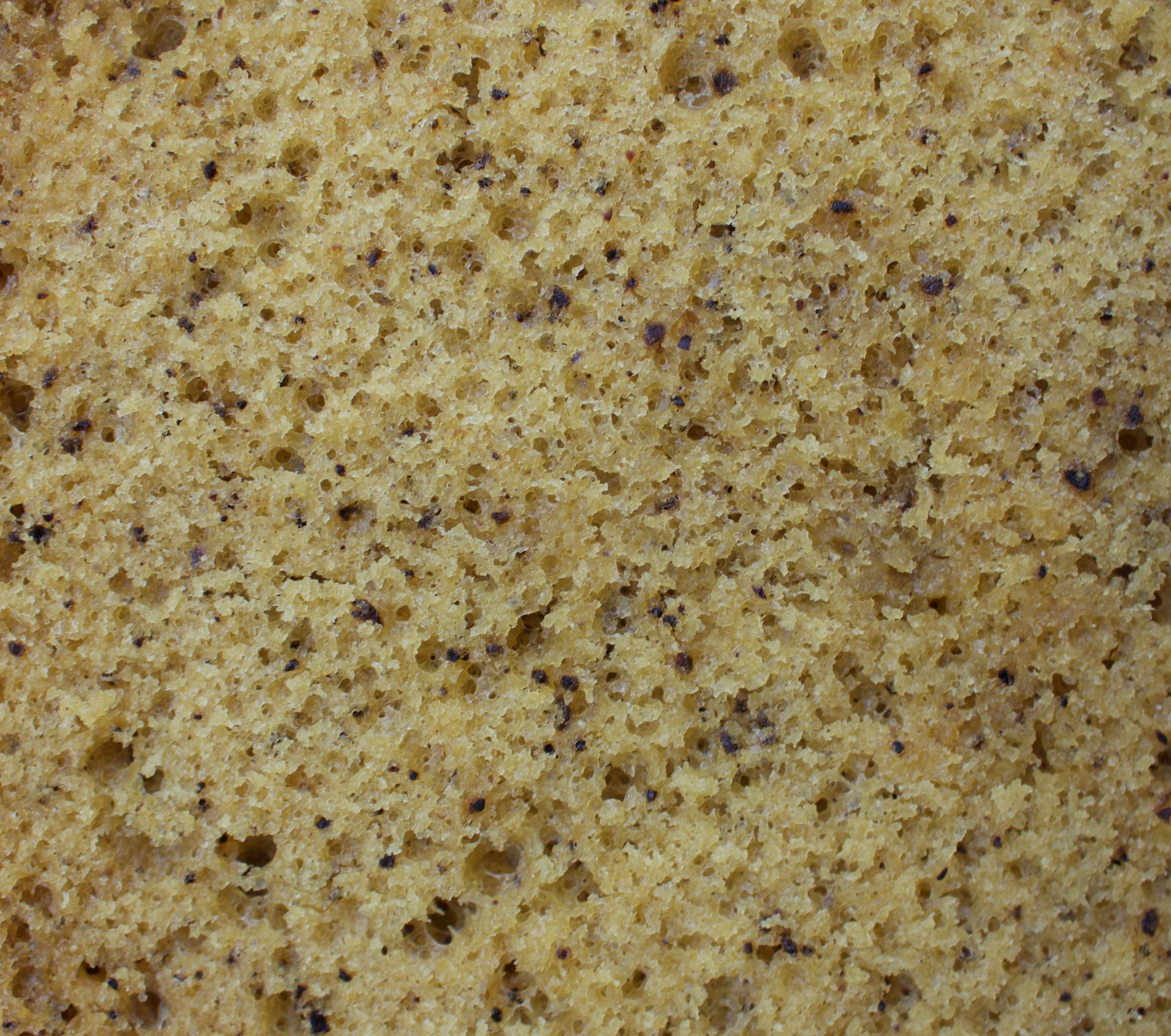 malted wattle seed cake crumb.jpg