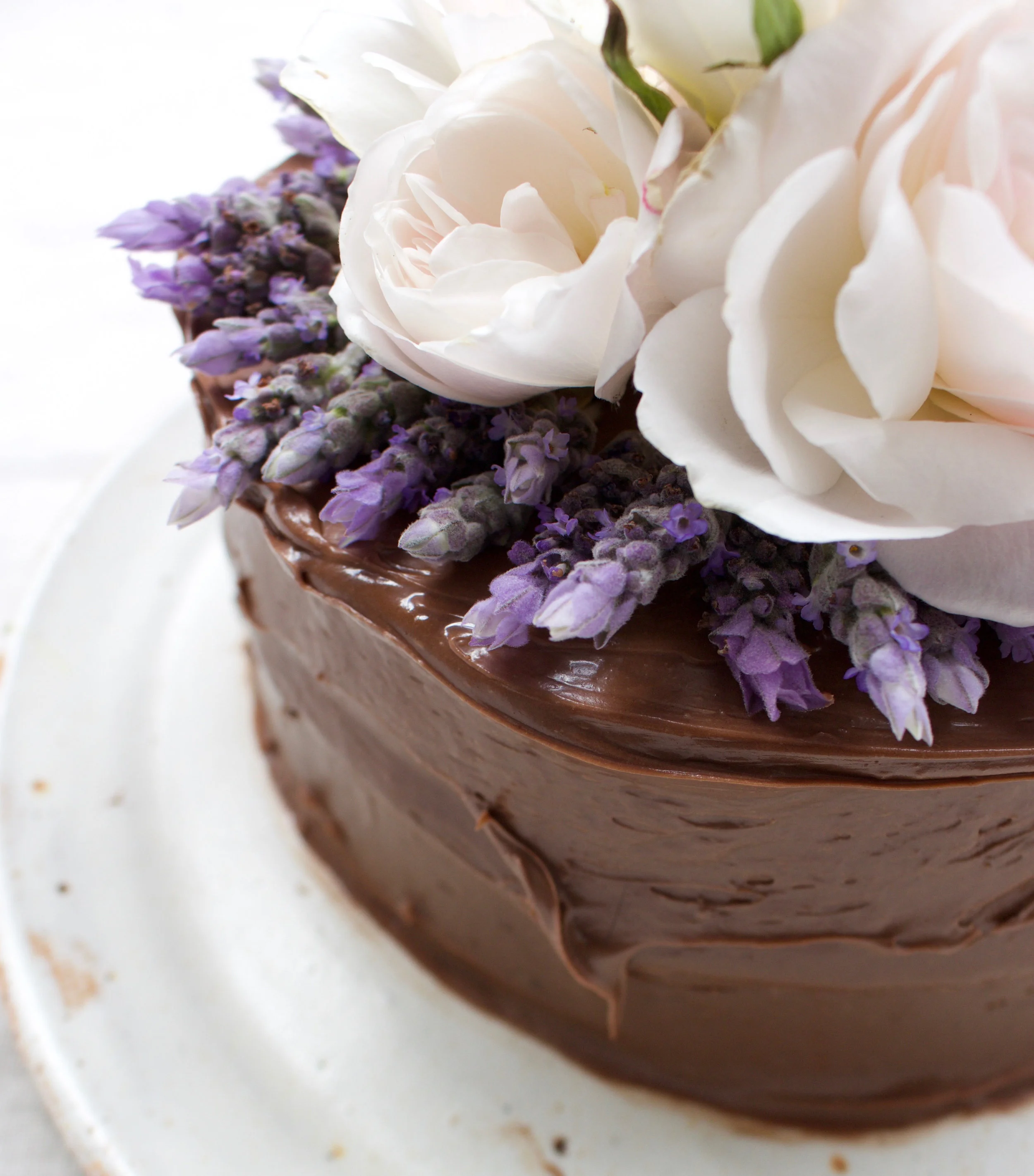 < triple chocolate &amp; lavender >
