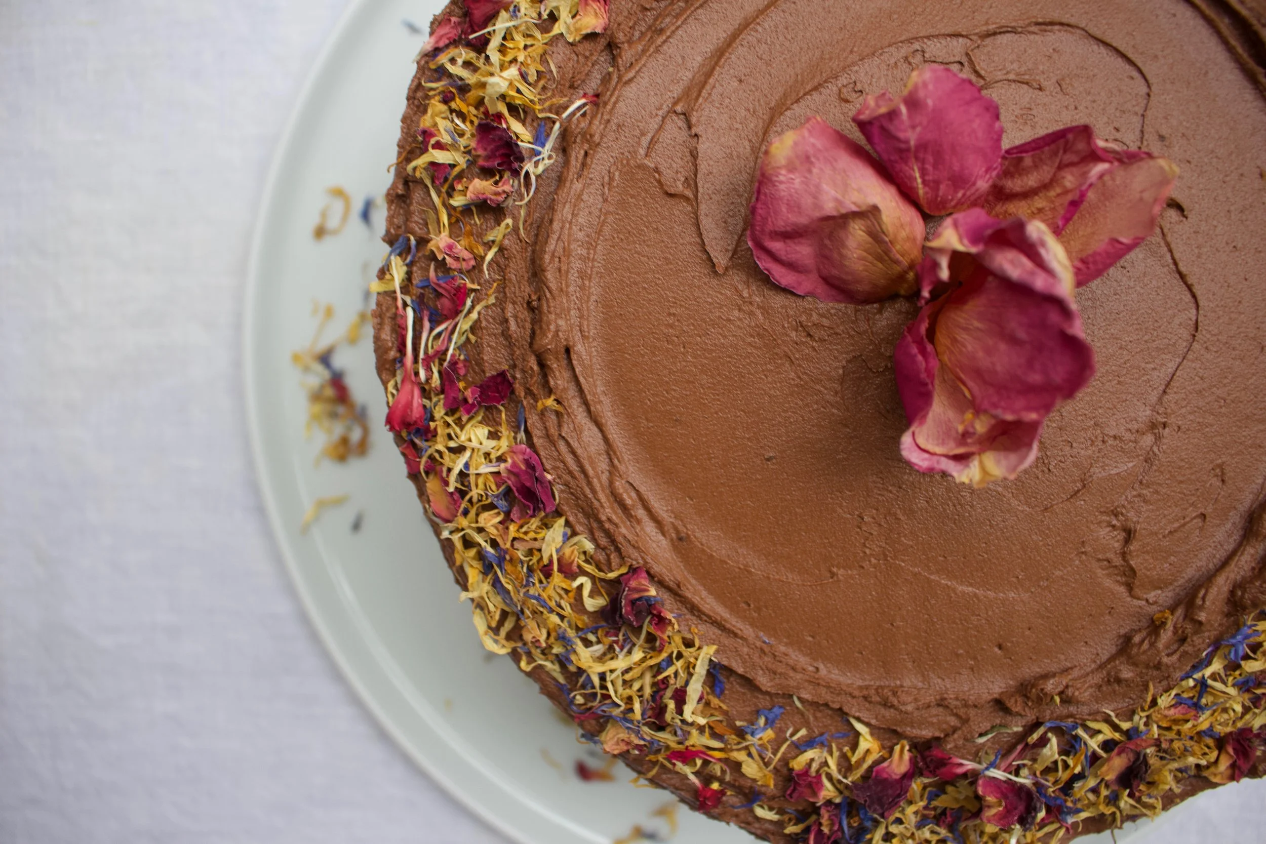 < dark chocolate &amp; rose >