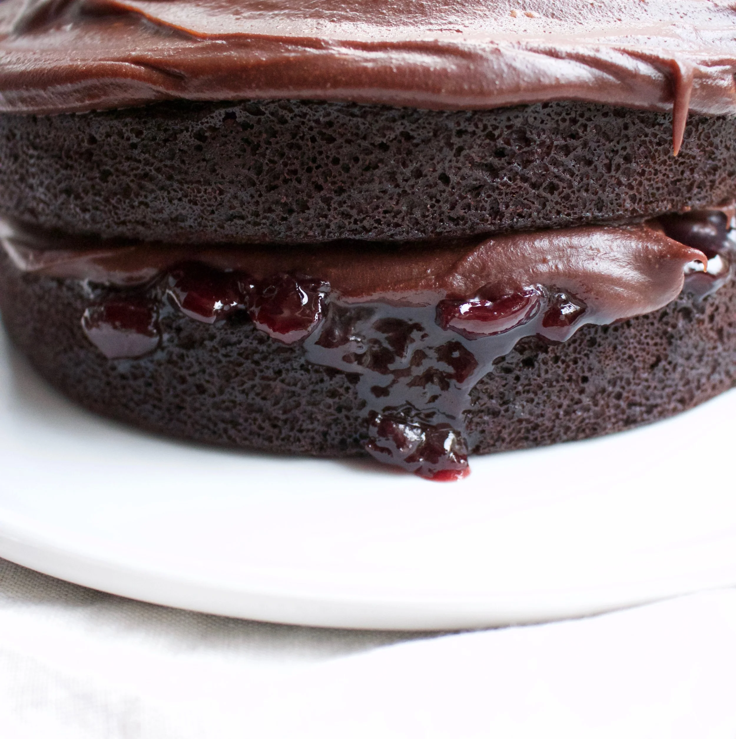 < dark chocolate &amp; sour cherry >