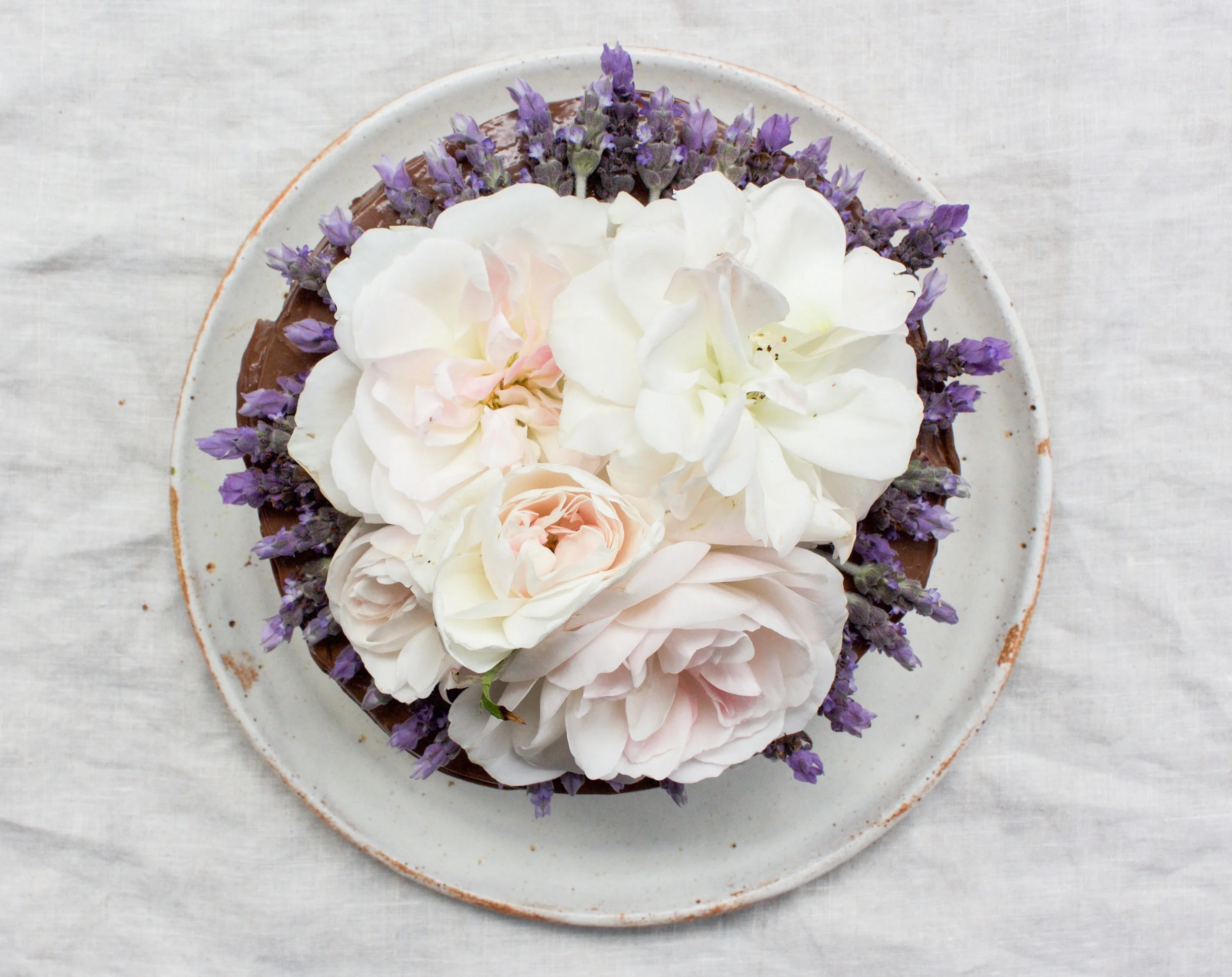 < chocolate &amp; lavender >