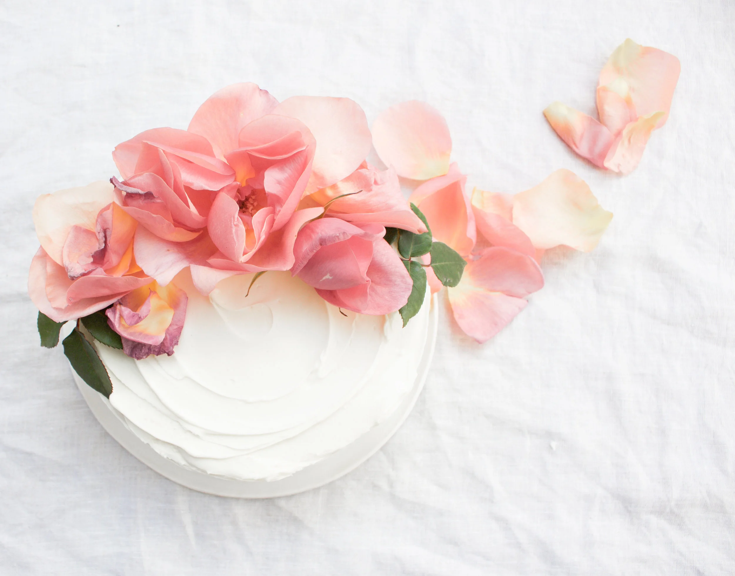 < lemon &amp; elderflower >