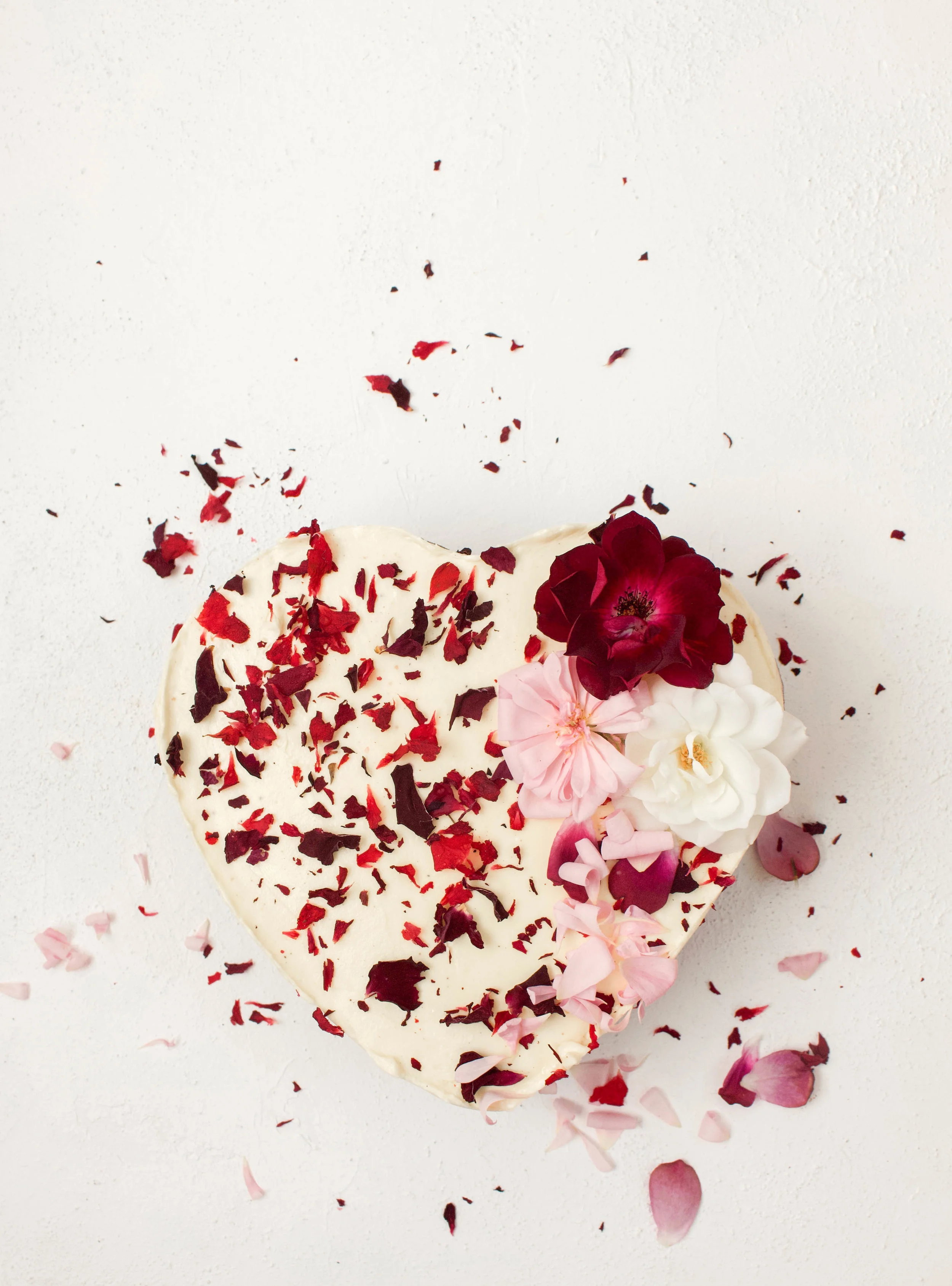 < carrot &amp; cream cheese >