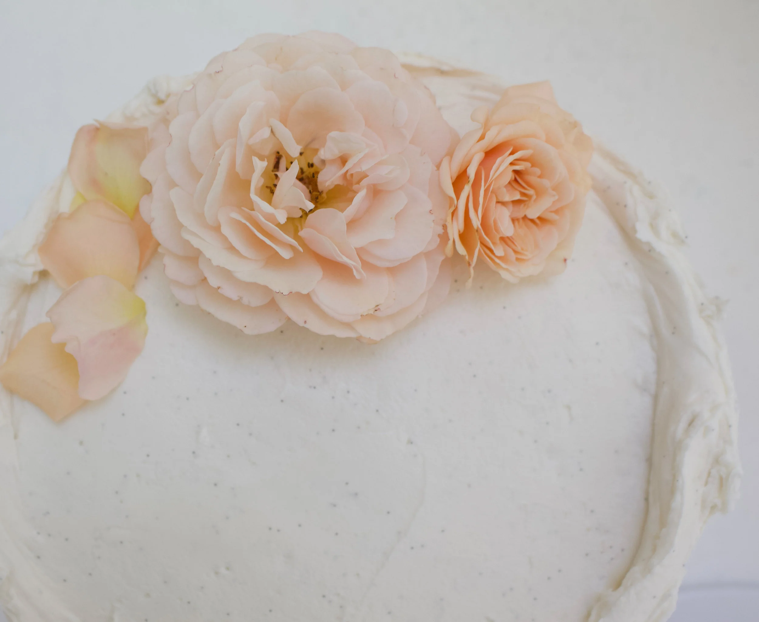 < tonka bean, sour cherry &amp; gin >