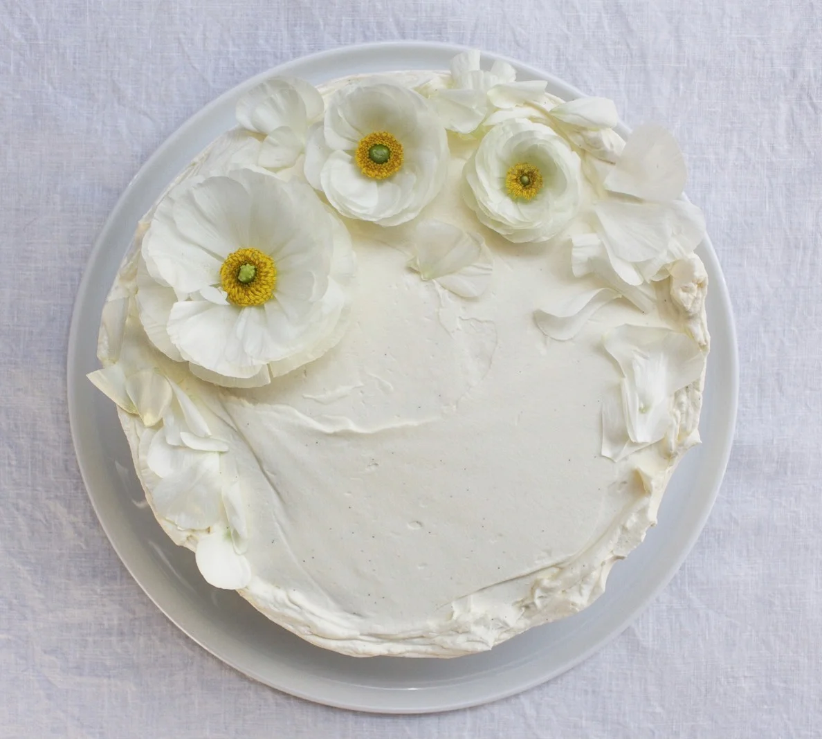 < hazelnut mocha w/ cream cheese frosting >