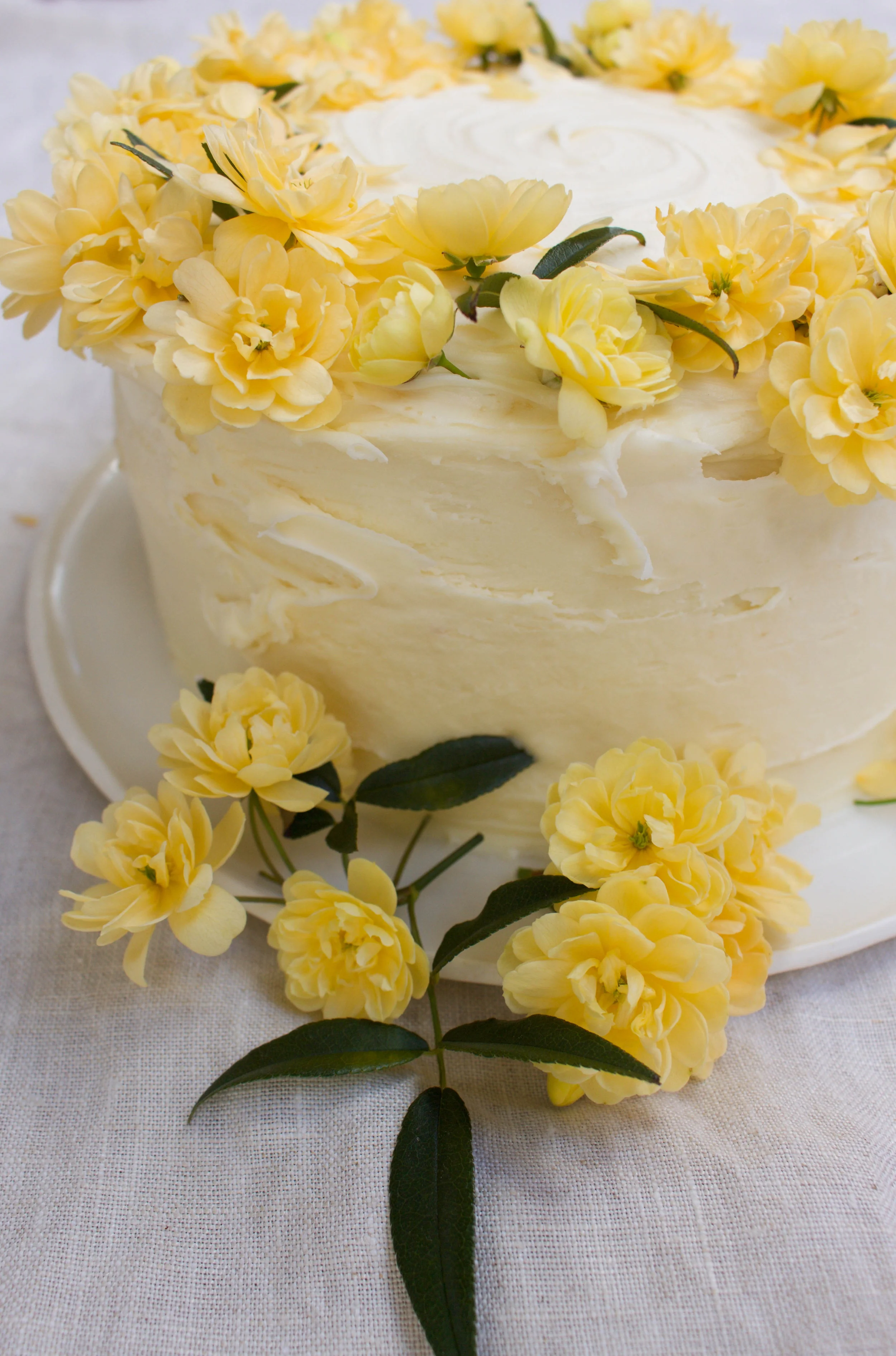 < lemon myrtle &amp; coconut >