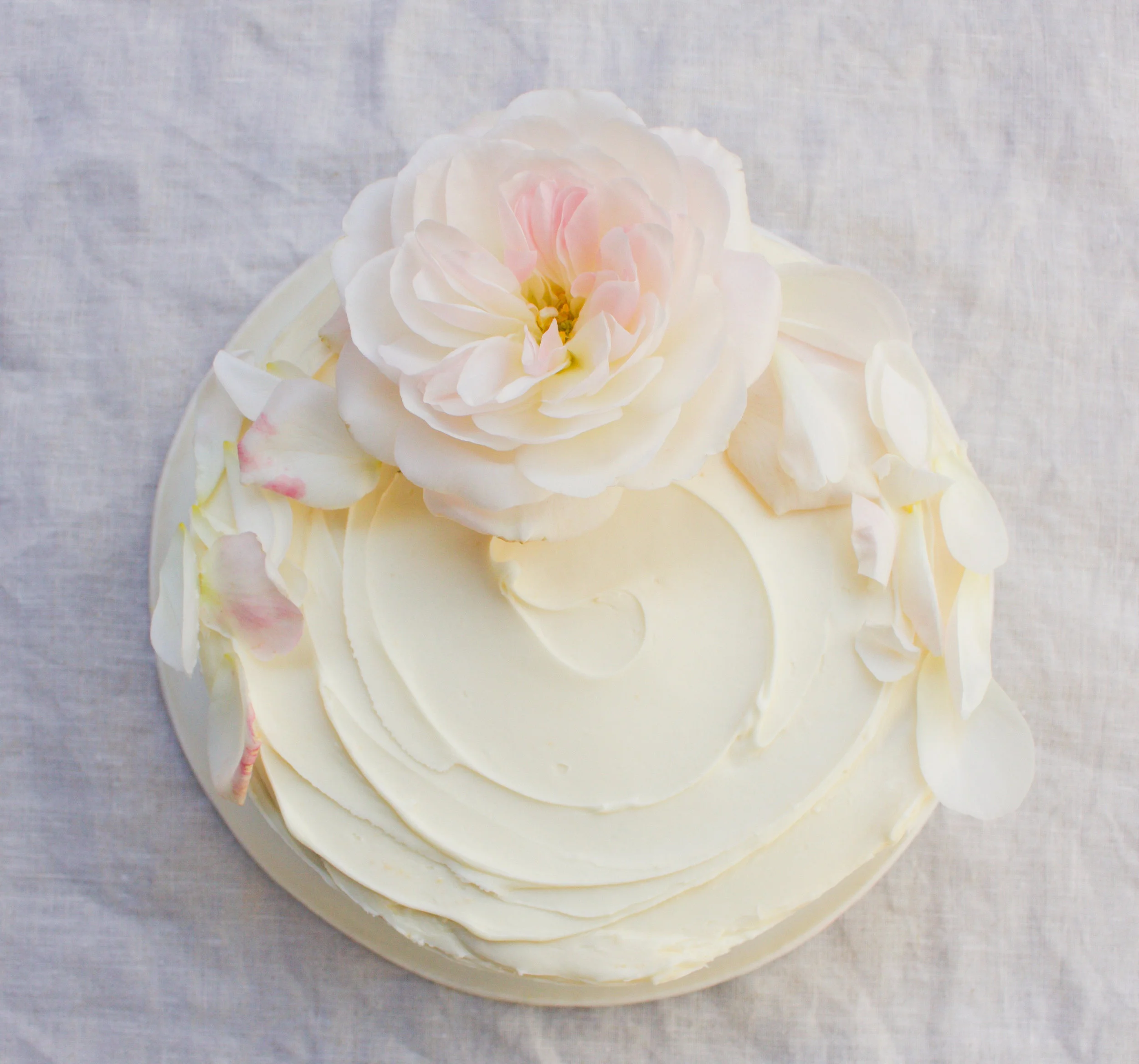 < vanilla &amp; rose >