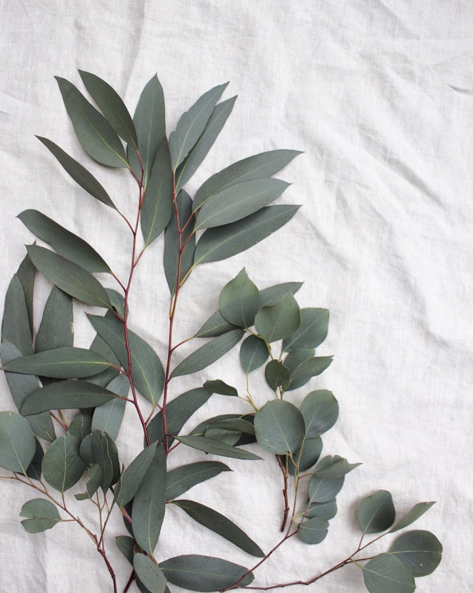 Screen Shot 2019-04-01 at 1.51.09 pm.png