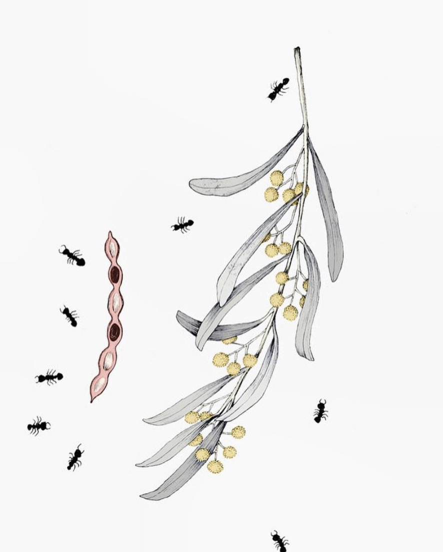 Screen Shot 2019-04-01 at 1.59.05 pm.png