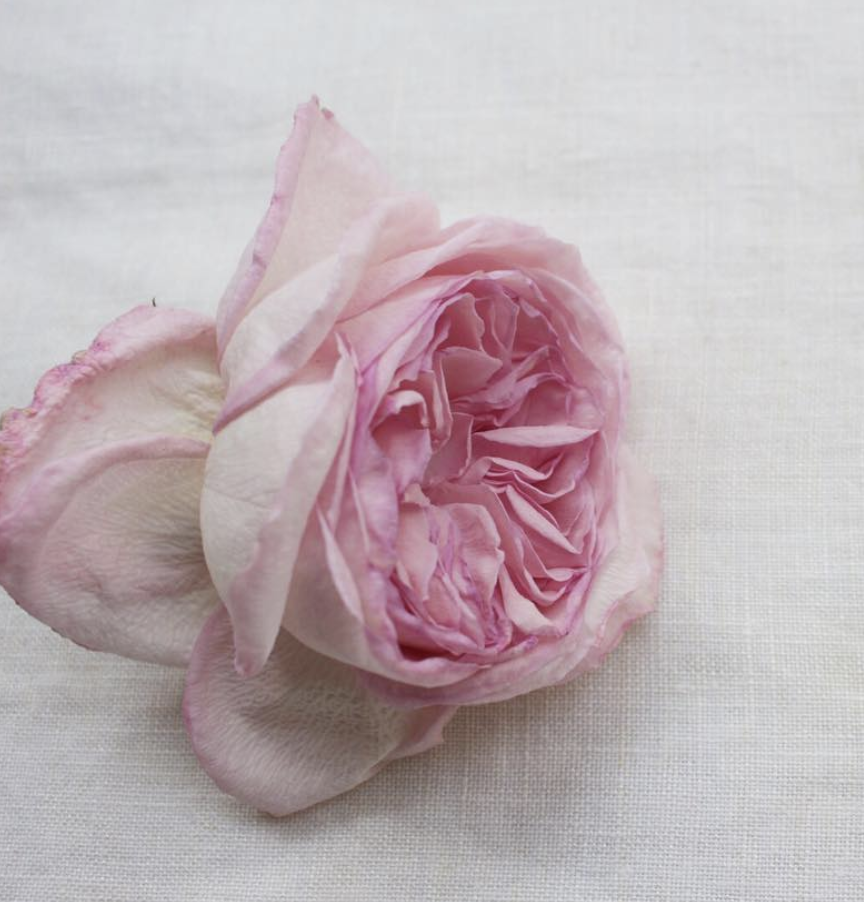 Screen Shot 2019-04-01 at 2.57.04 pm.png