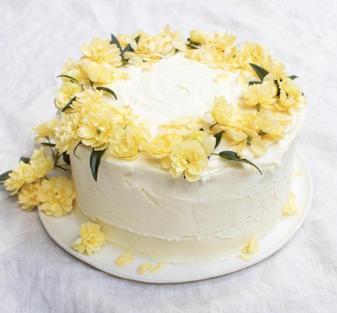 Screen Shot 2019-04-01 at 2.58.20 pm.png