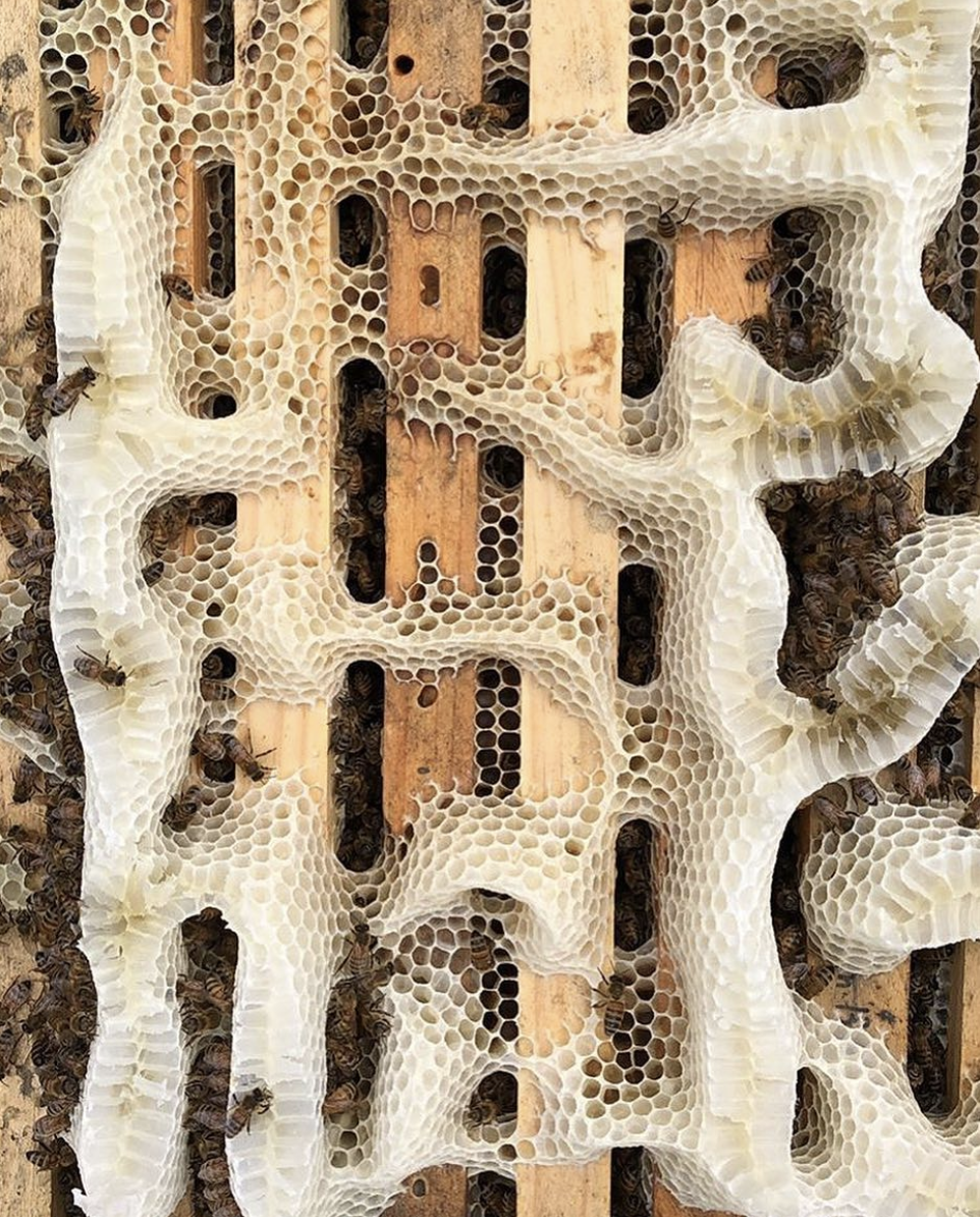 Screen Shot 2019-04-01 at 3.07.35 pm.png