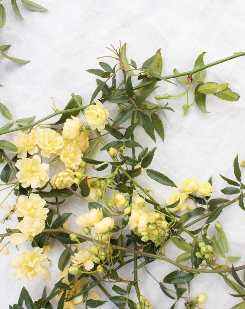 Screen Shot 2019-04-01 at 3.10.17 pm.png