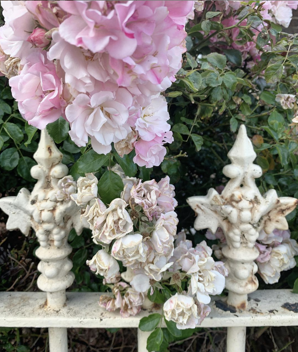 Screen Shot 2019-04-01 at 4.06.25 pm.png