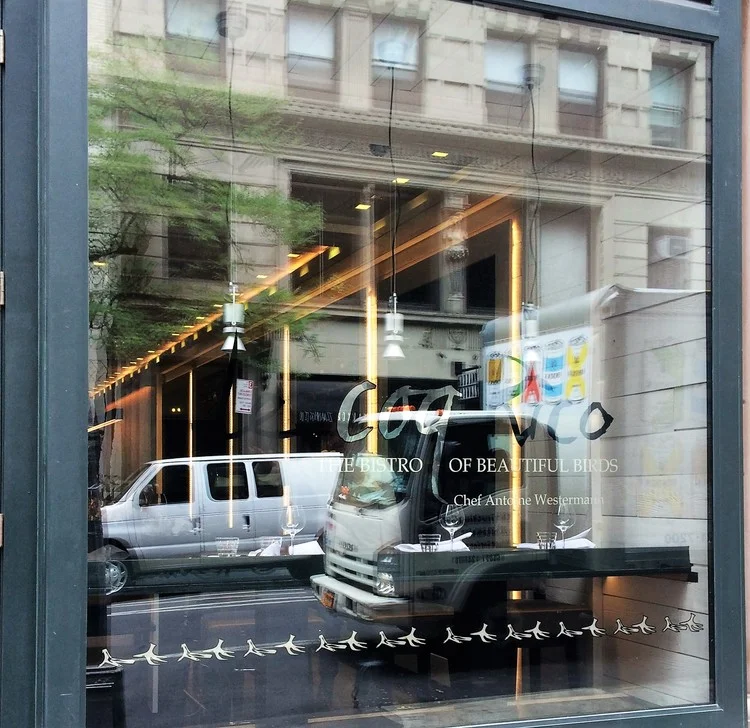 Le Coq Rico: A Beautiful Bird 