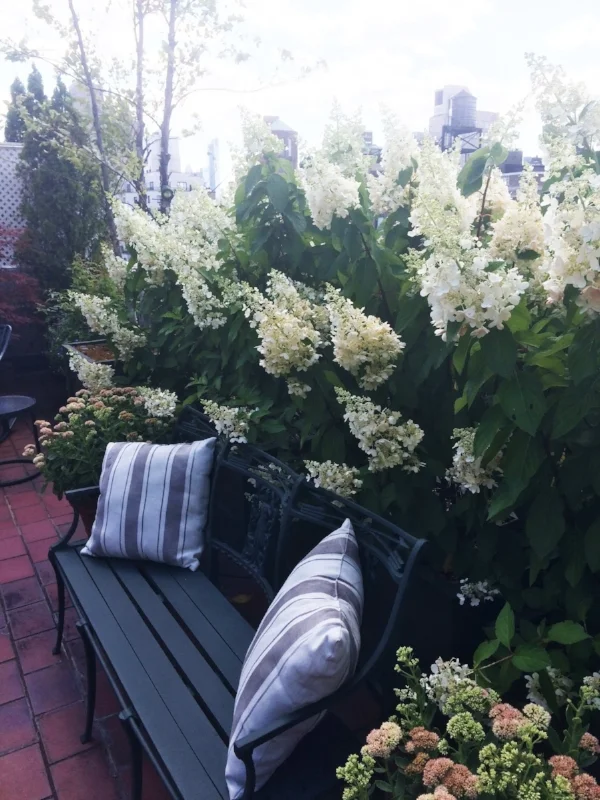 Fabulous Summertime Reads