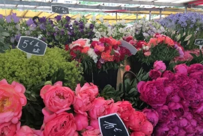 Happy Valentine's Day 