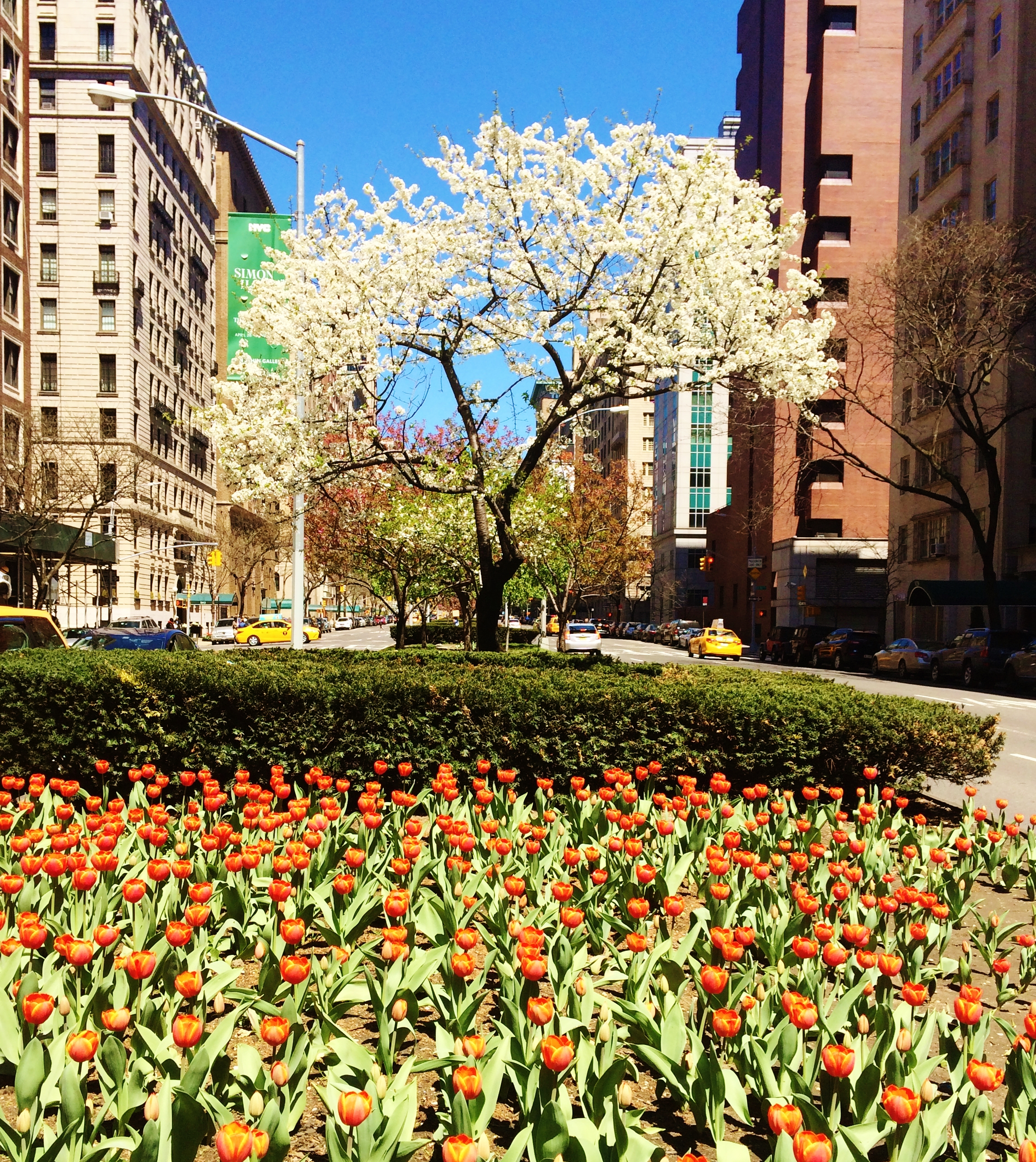 Park Avenue NYC