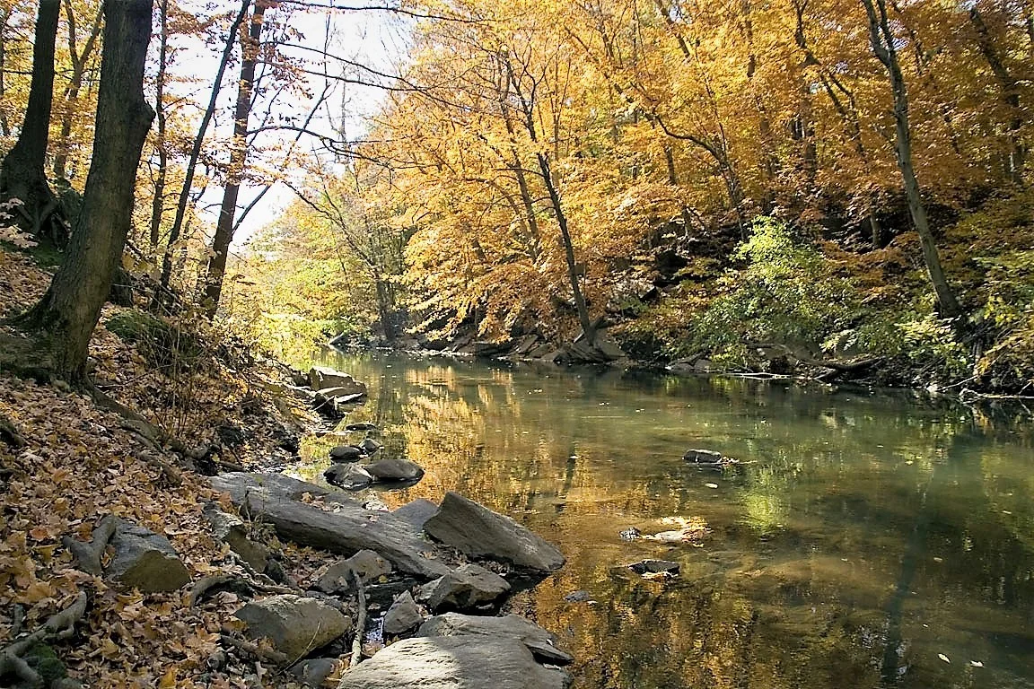 bronxriver (2).jpg