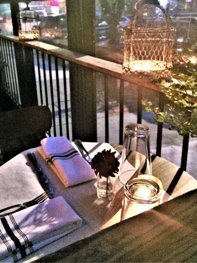 Mountain Bird Finds A Perch in Spanish Harlem