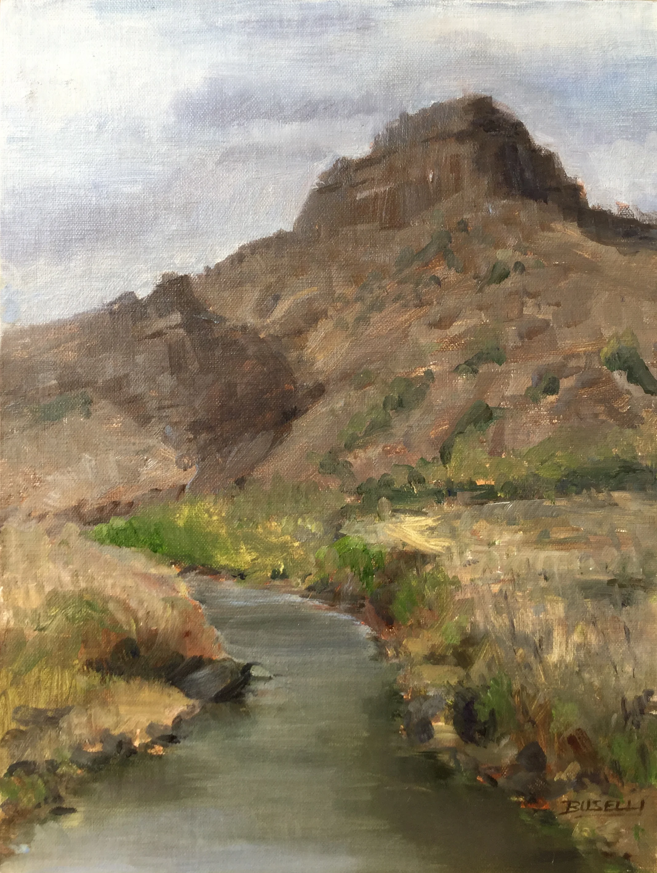 Rio Grande below Taos, NM.jpg