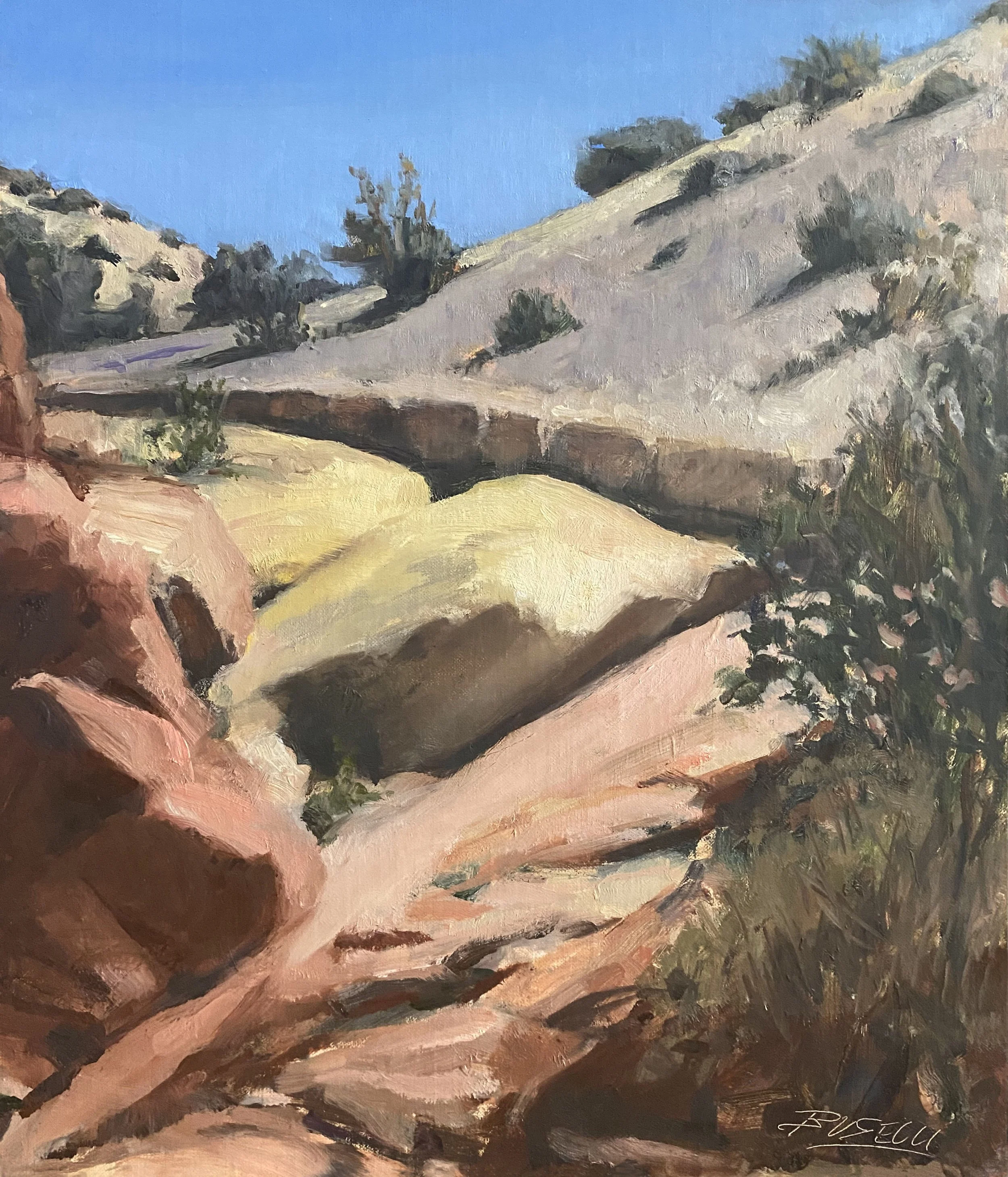 COPPER WASH CANYON web.jpg