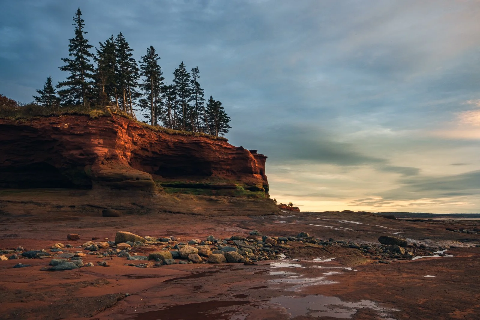 _MMP4802 squarespace.jpg