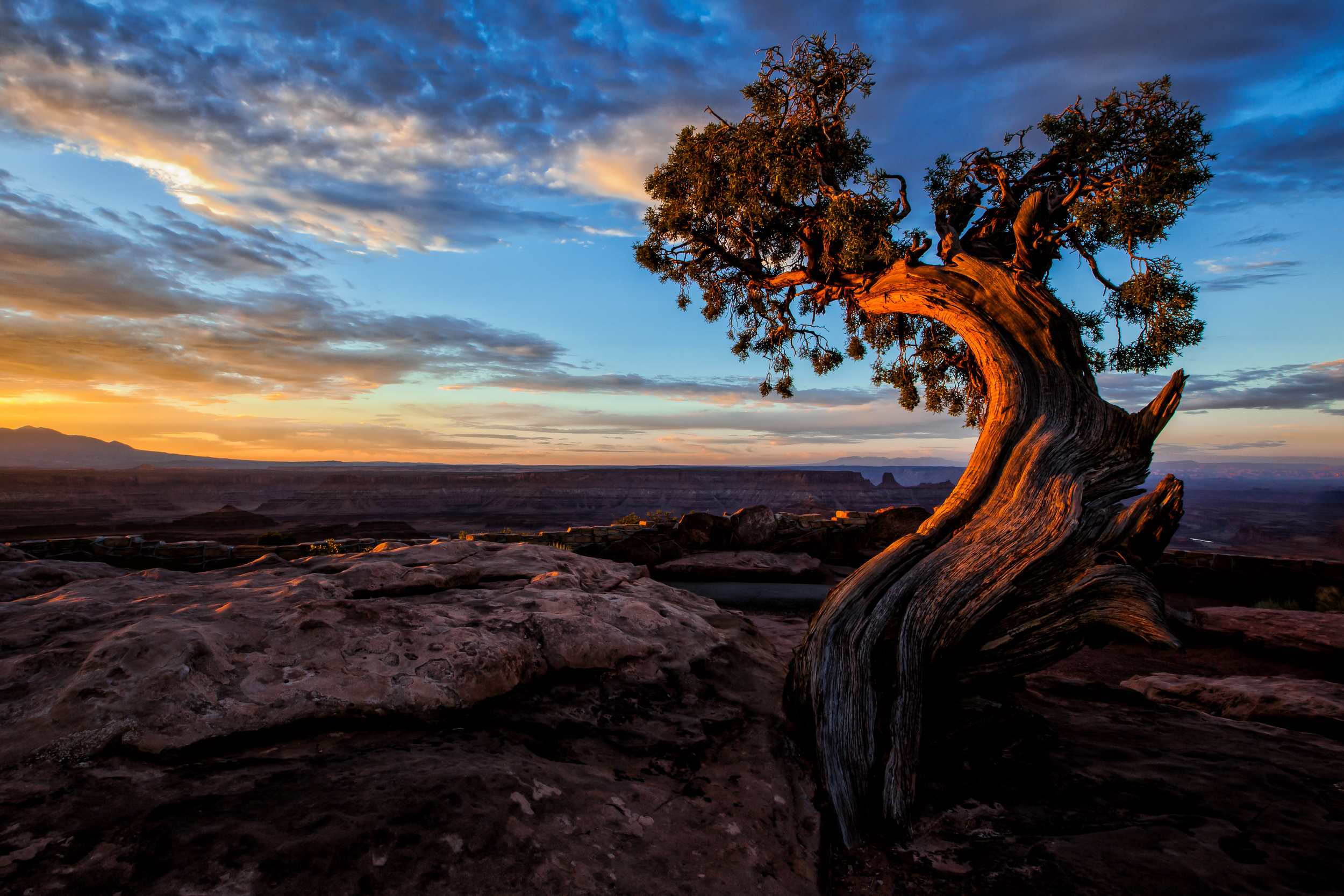 20140723a Dead Horse Point-112-Edituntitled.jpg