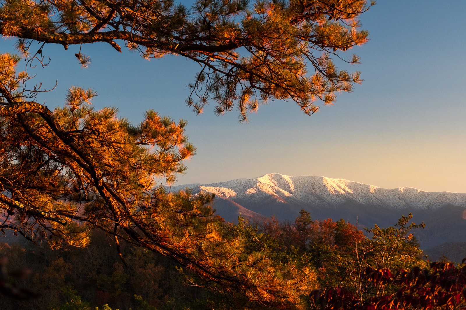 20181110 Smokies-0502 squarespace.jpg