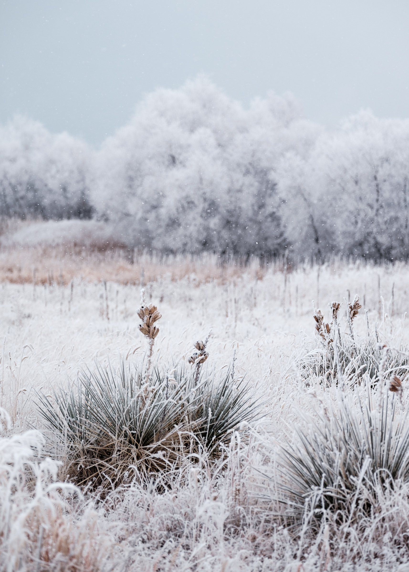 20170104 Aurora Reservoir-7929 squarespace.jpg