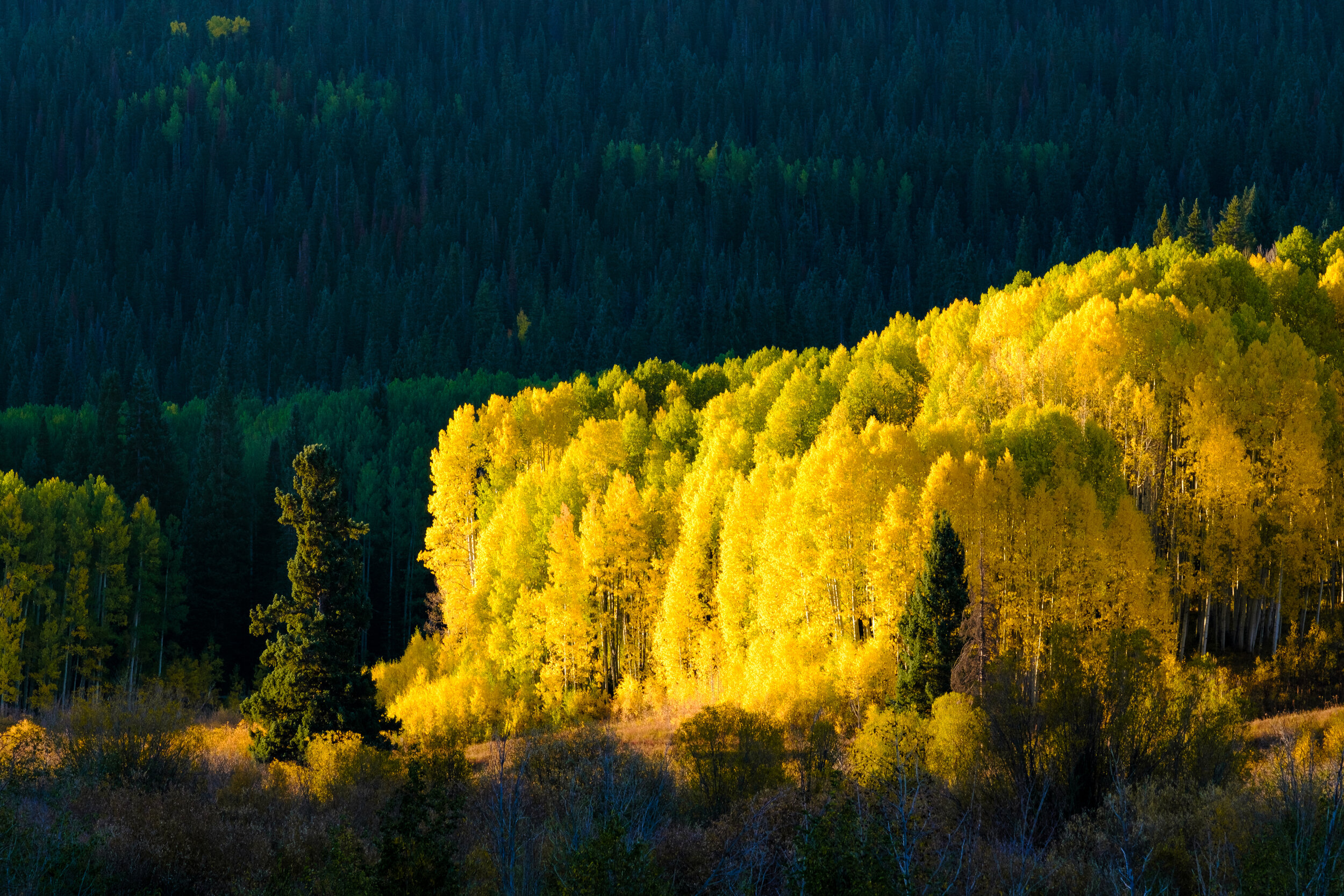 _XT42841_Kebler Pass Fall Colors.jpg