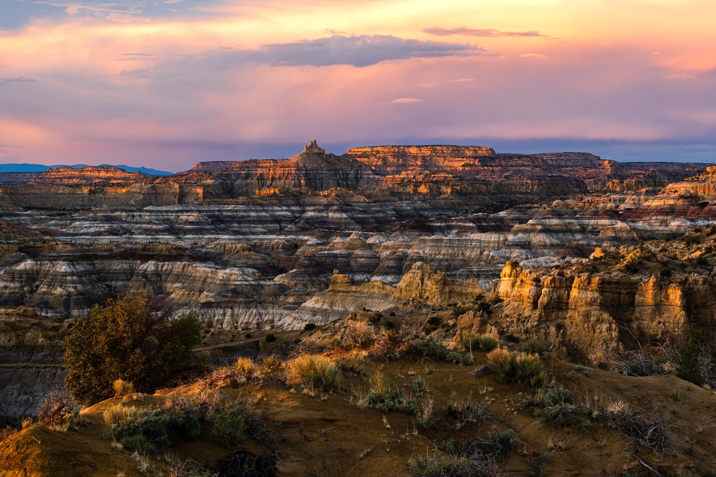 202305 New Mexico-42311-Enhanced-NR.jpg