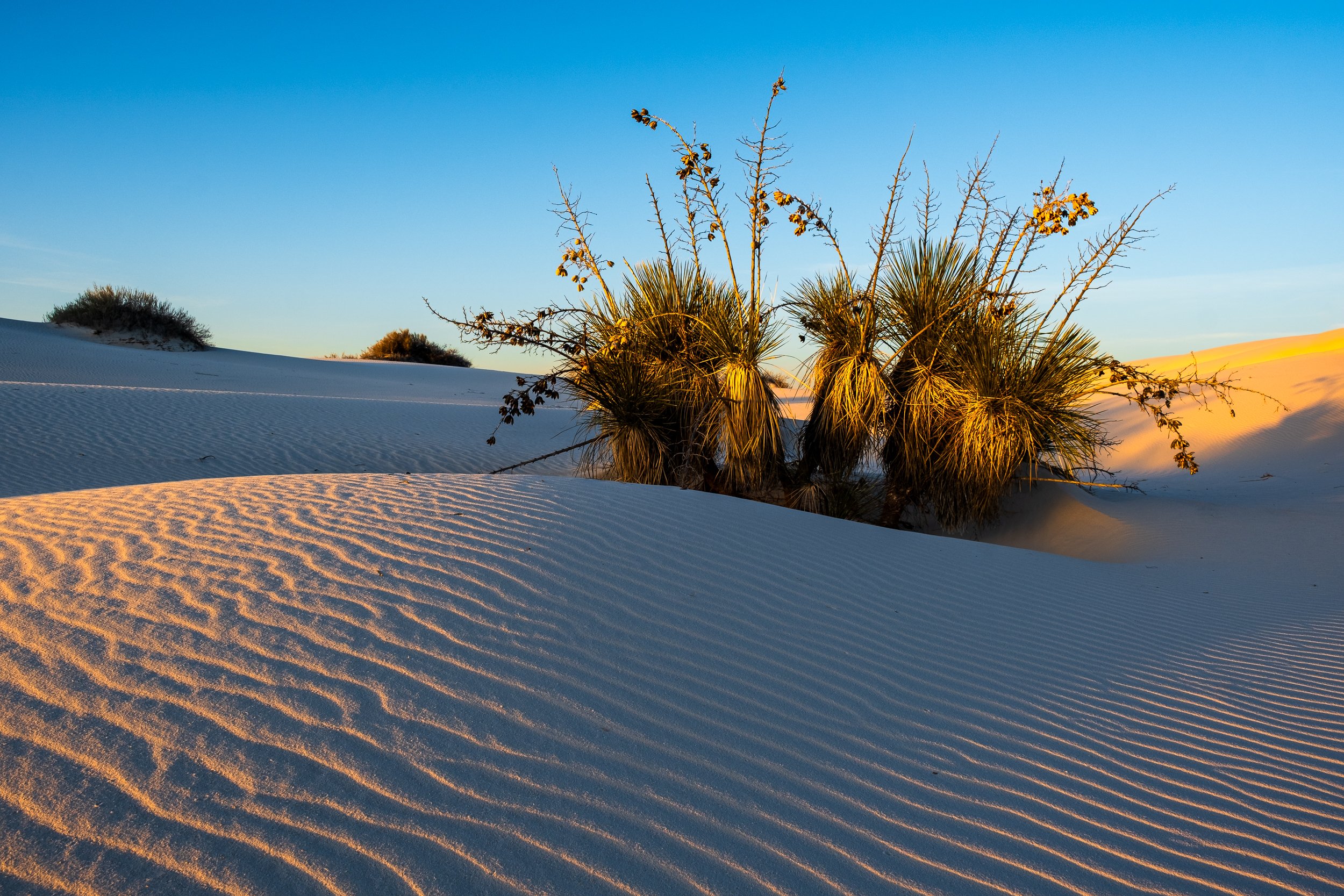 White Sands National Park