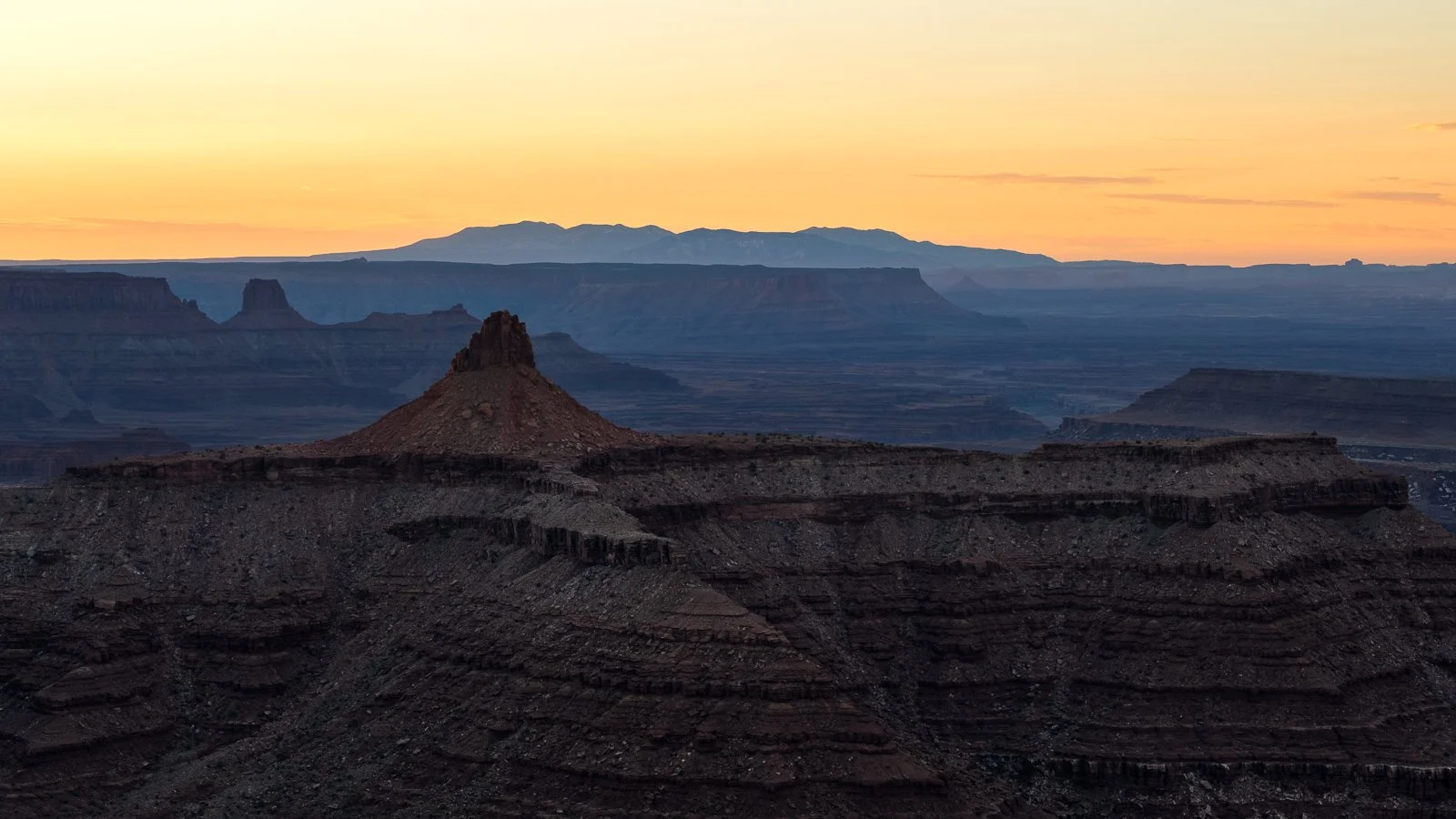 _XT47260-1 squarespace.jpg