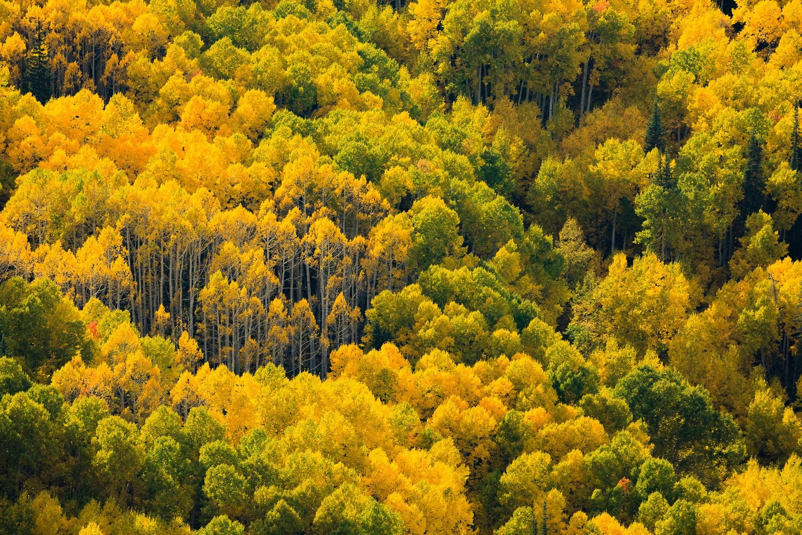 _MG_3345 squarespace.jpg