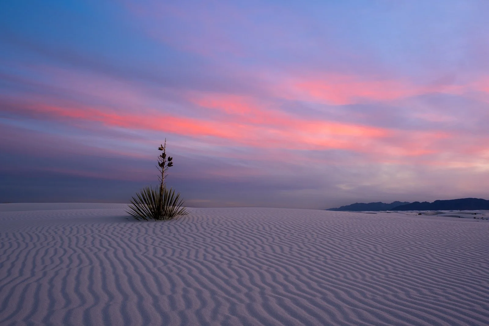 _XT47440 squarespace.jpg