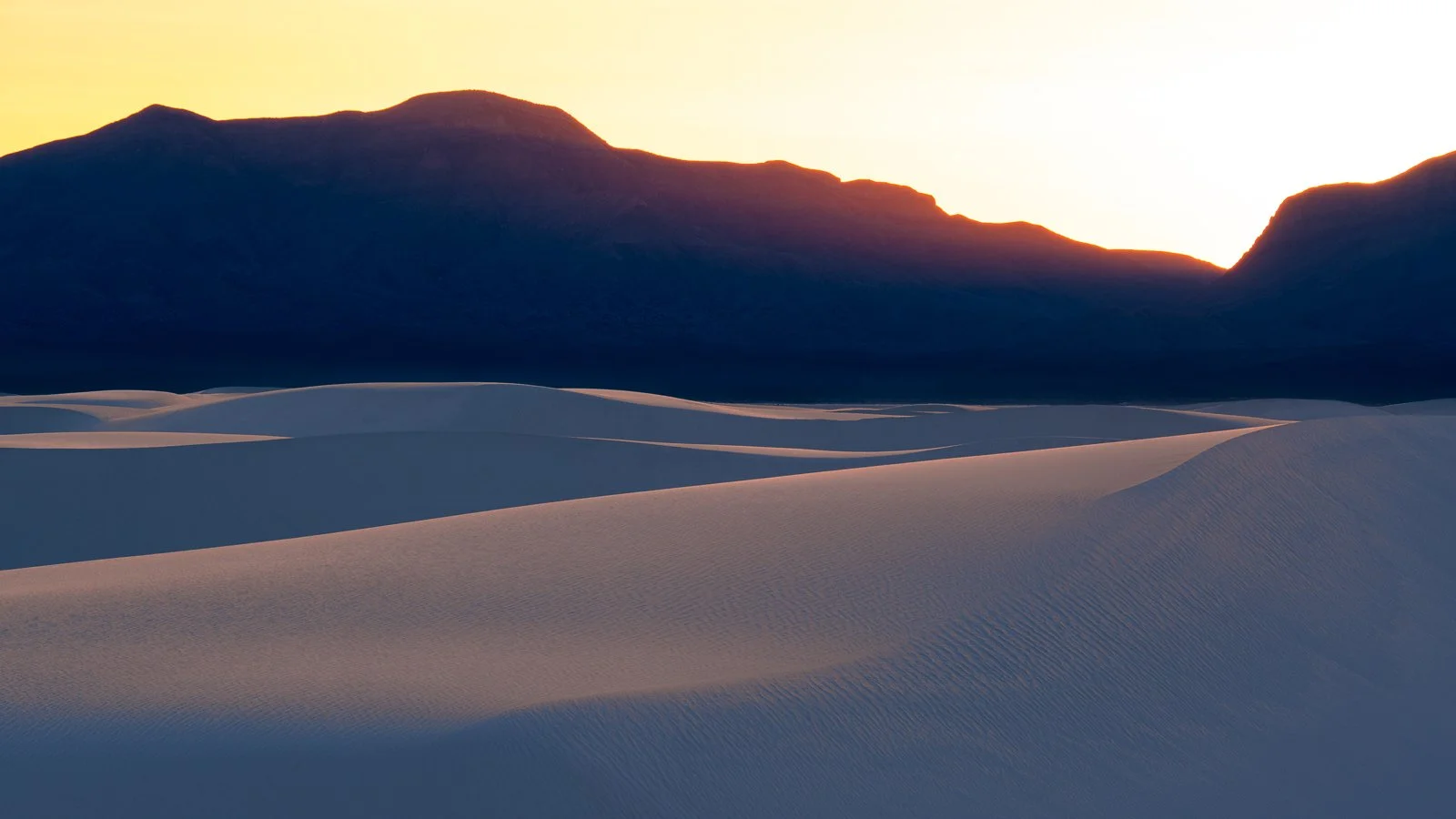 _XT47192 squarespace.jpg