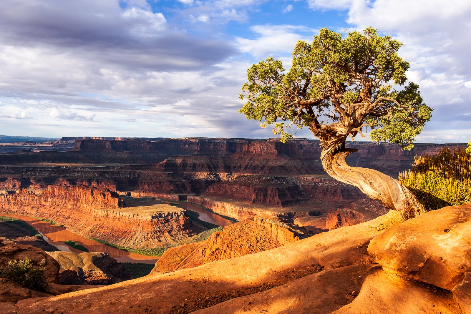 1003am NxNW22 Dead Horse Point-48566 squarespace.jpg