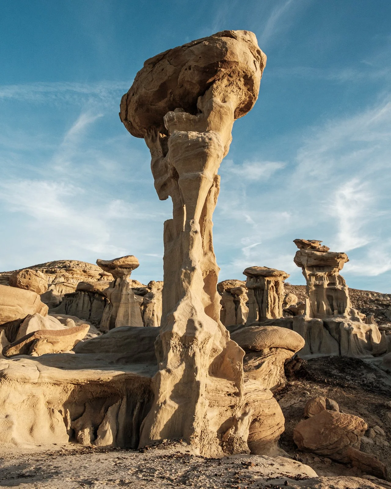 Valley of Dreams-46325 squarespace.jpg